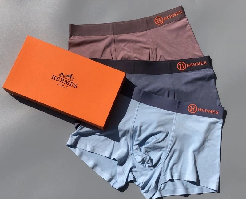 Hermes Underwear Unique 276771