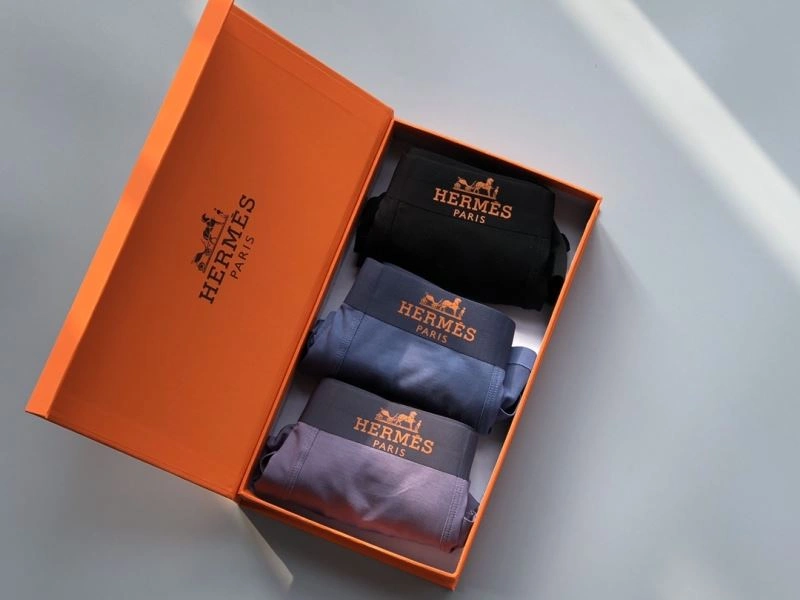 Sleek Hermes Underwear 276776