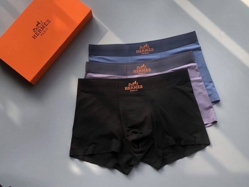 Sleek Hermes Underwear 276776