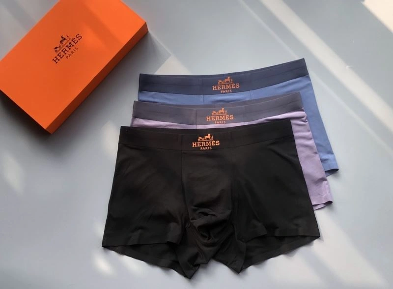 Sleek Hermes Underwear 276776