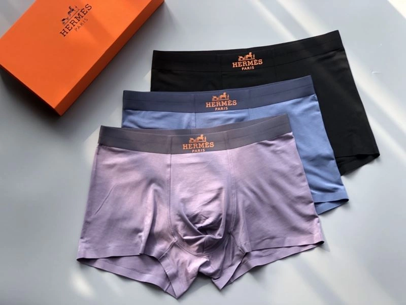 Sleek Hermes Underwear 276776