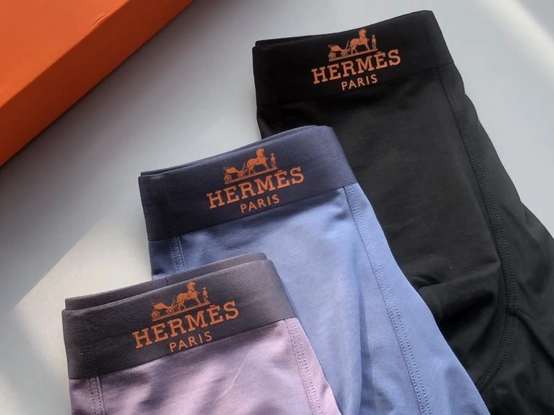 Sleek Hermes Underwear 276776
