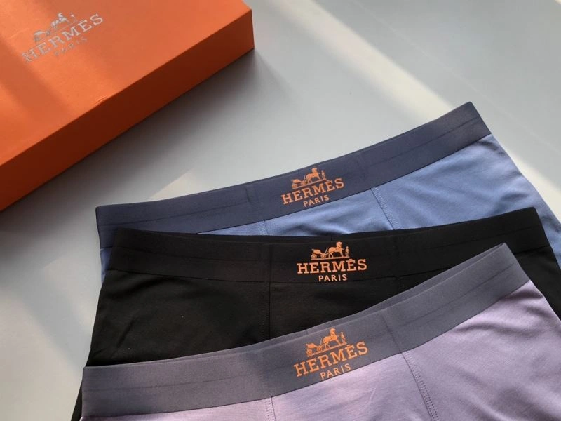 Sleek Hermes Underwear 276776