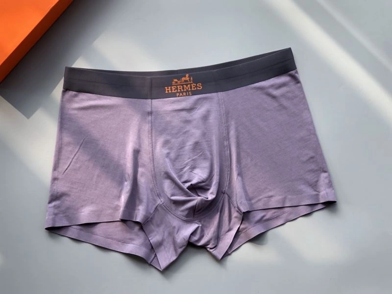 Sleek Hermes Underwear 276776