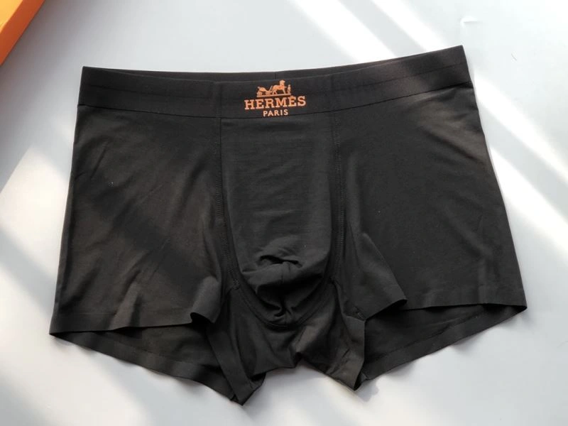 Sleek Hermes Underwear 276776