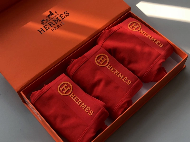 Hermes Underwear EasyCare 276636