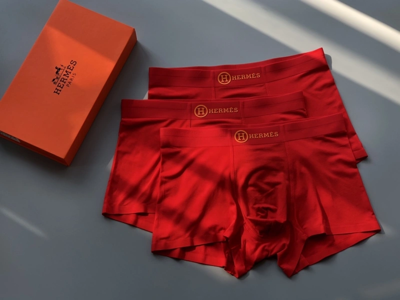 Hermes Underwear EasyCare 276636