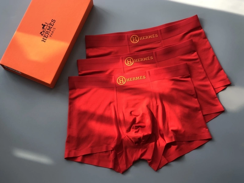Hermes Underwear EasyCare 276636