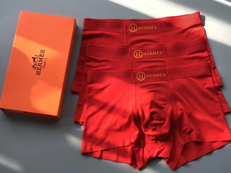 Hermes Underwear EasyCare 276636