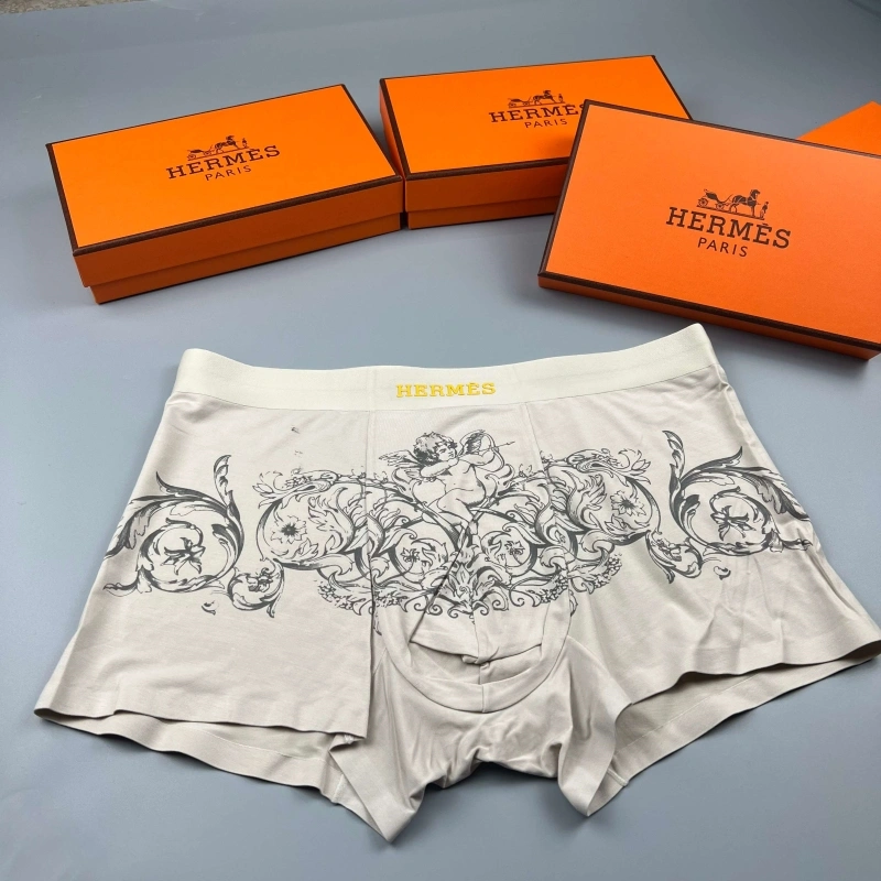 Hermes Underwear Upgraded 276641