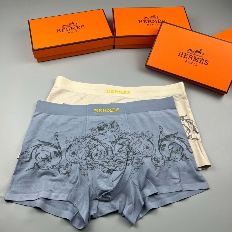 Hermes Underwear Upgraded 276641