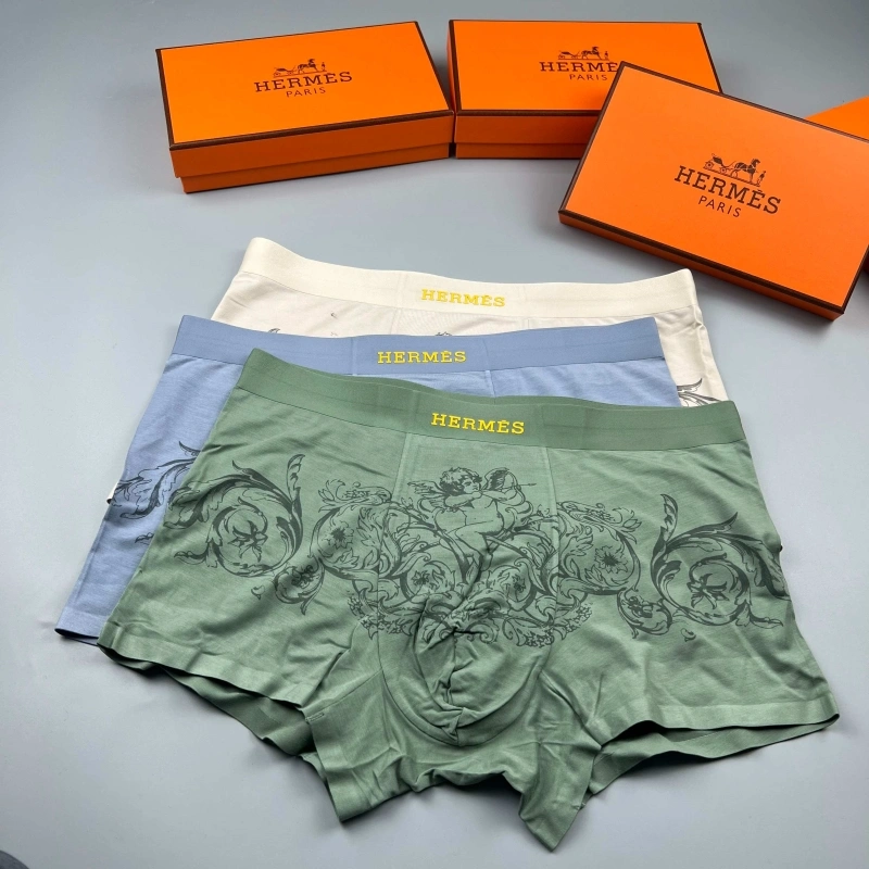 Hermes Underwear Upgraded 276641