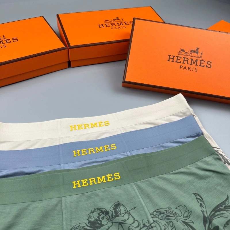 Hermes Underwear Upgraded 276641