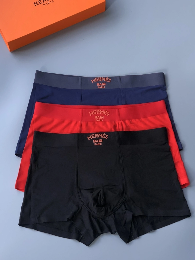 Supportive Hermes Underwear 276355