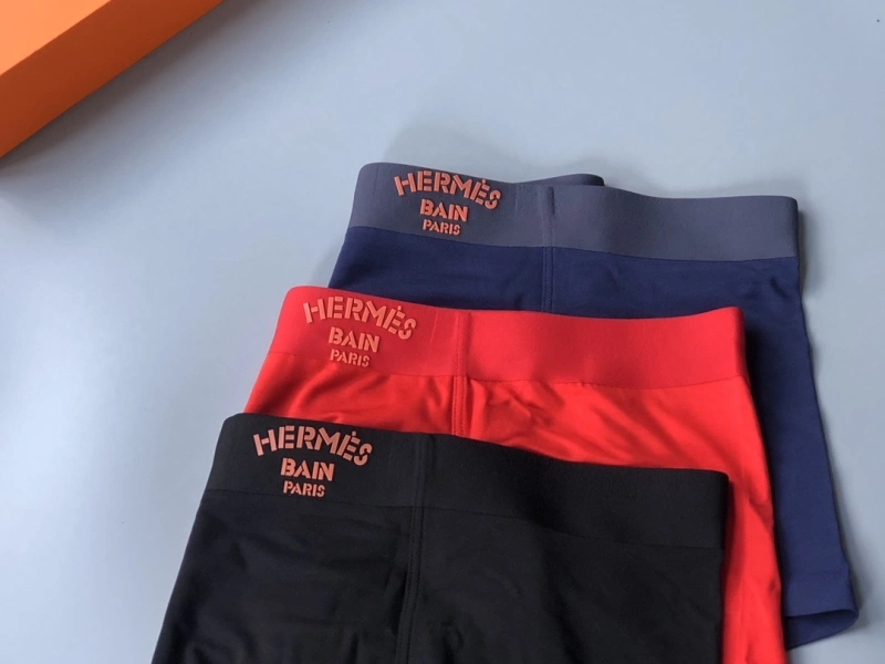 Supportive Hermes Underwear 276355