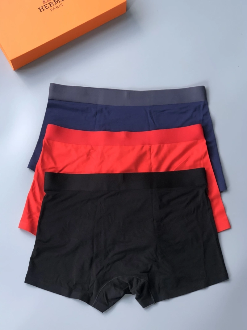 Supportive Hermes Underwear 276355