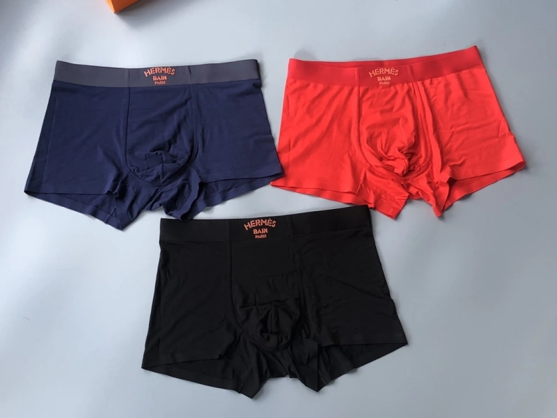 Supportive Hermes Underwear 276355