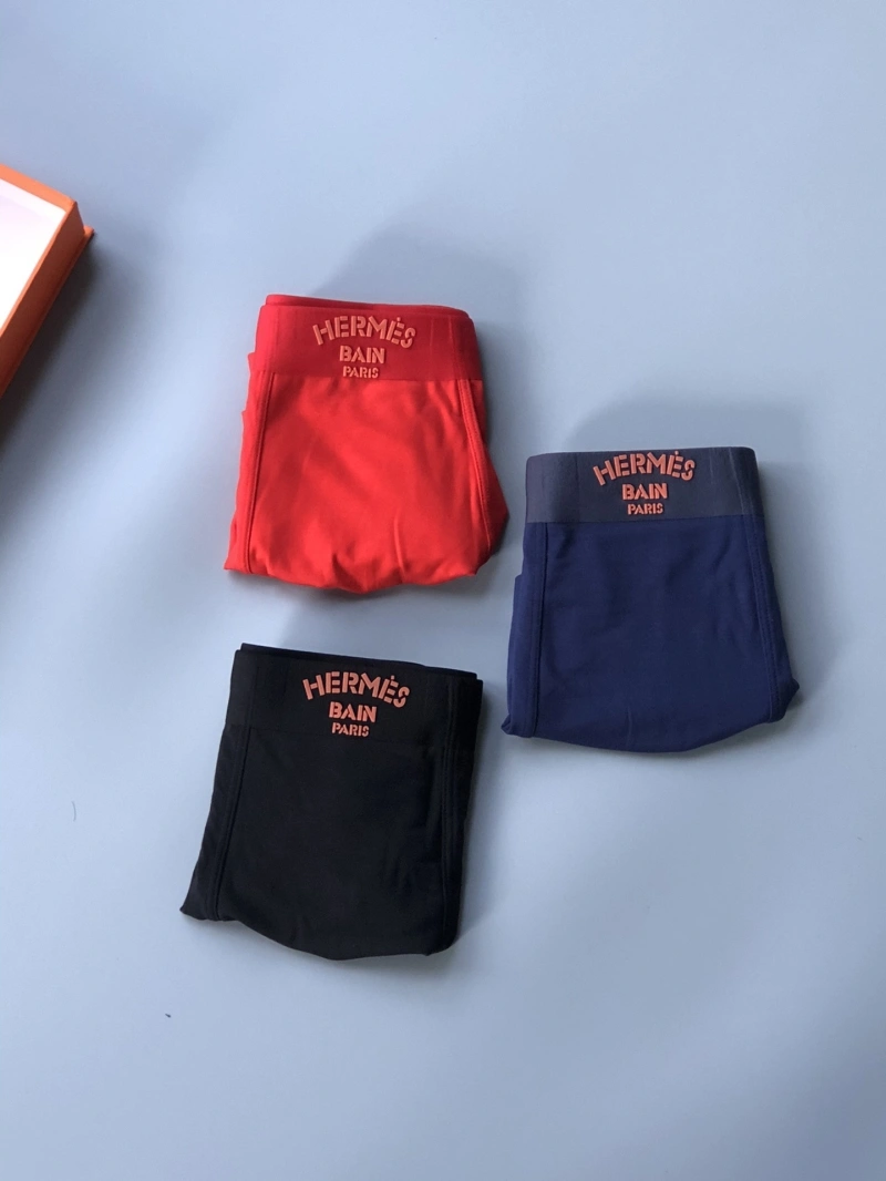 Supportive Hermes Underwear 276355