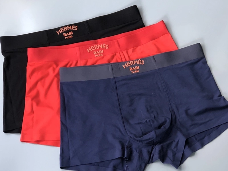 Supportive Hermes Underwear 276355
