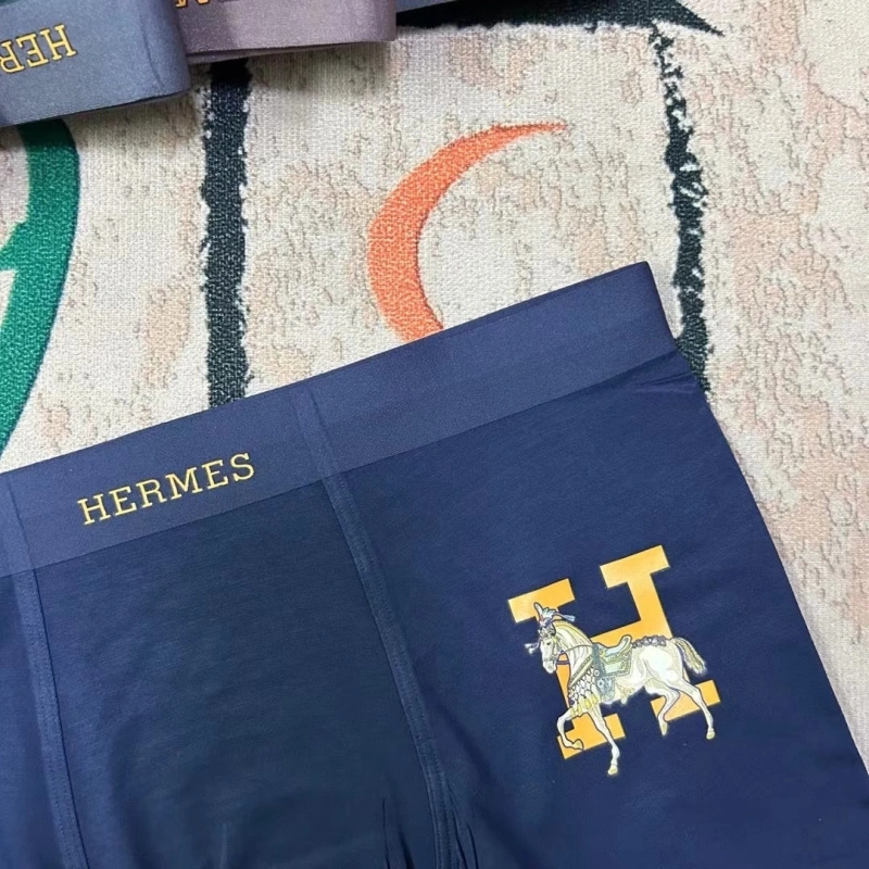 ZipUp Hermes Underwear 276358