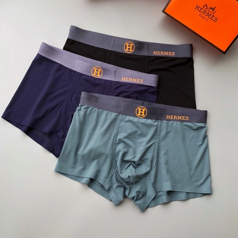 Hermes Underwear Tailored 276338