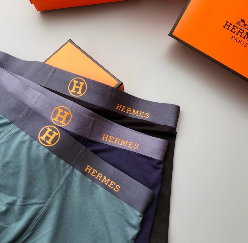 Hermes Underwear Tailored 276338