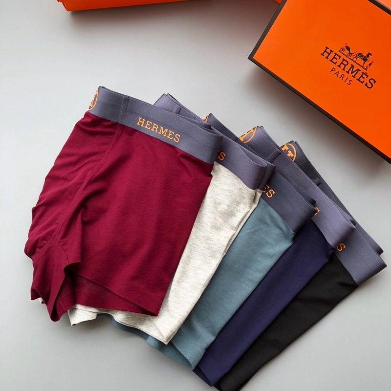 Hermes Underwear Tailored 276338
