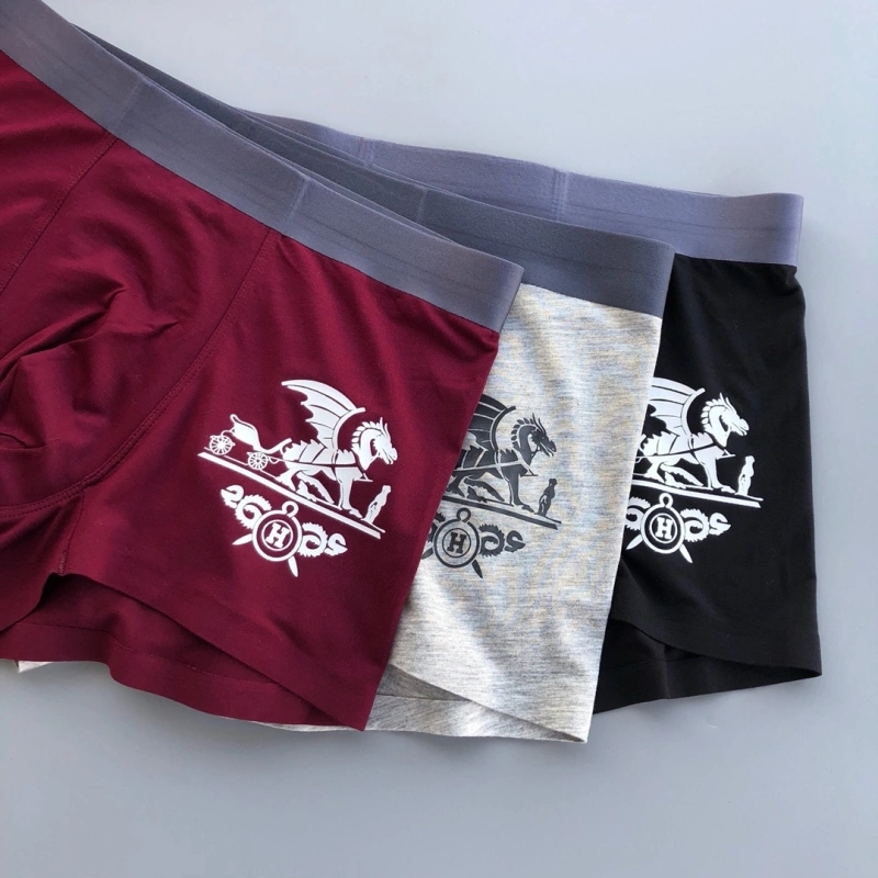 Durable Hermes Underwear 276357