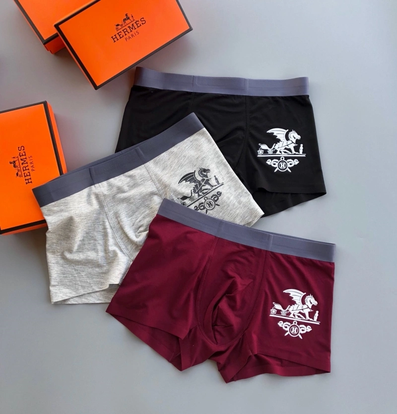 Durable Hermes Underwear 276357