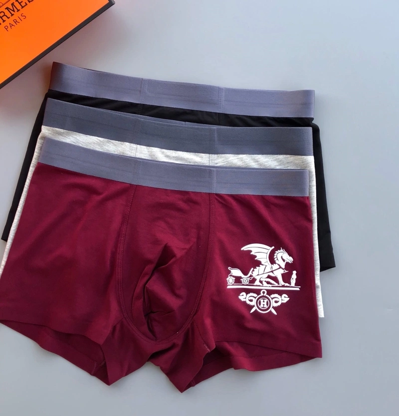Durable Hermes Underwear 276357