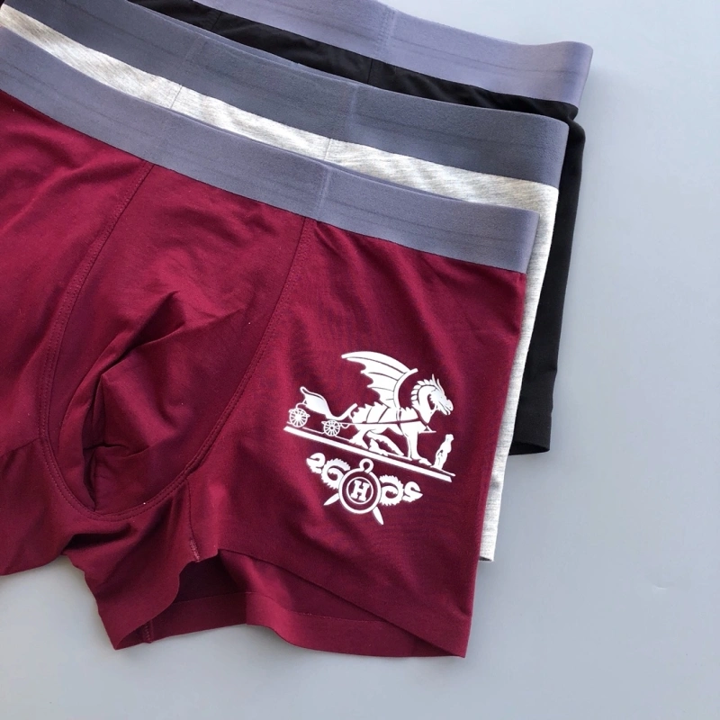 Durable Hermes Underwear 276357