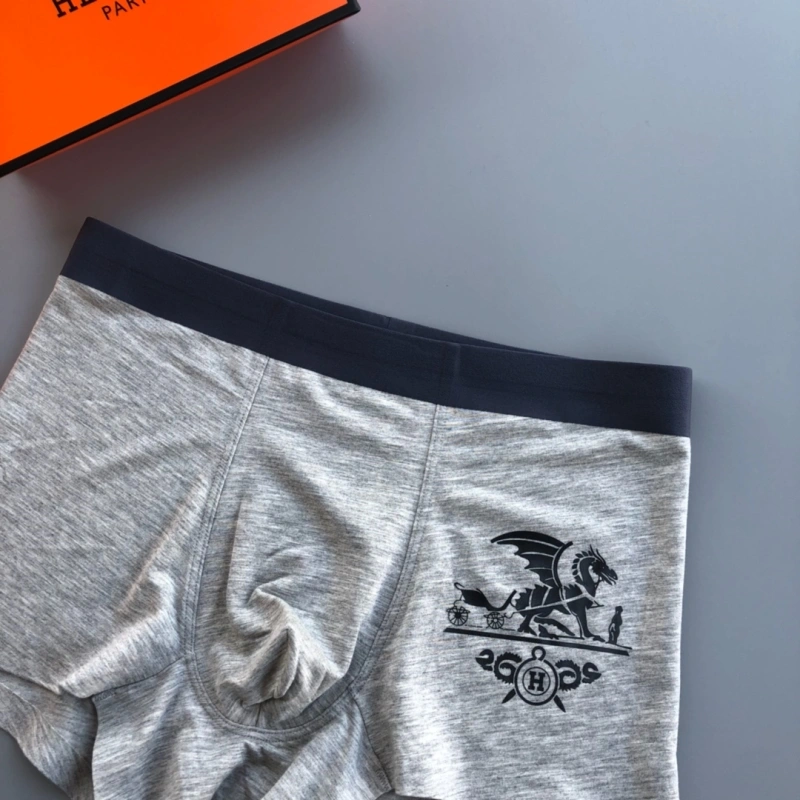 Durable Hermes Underwear 276357