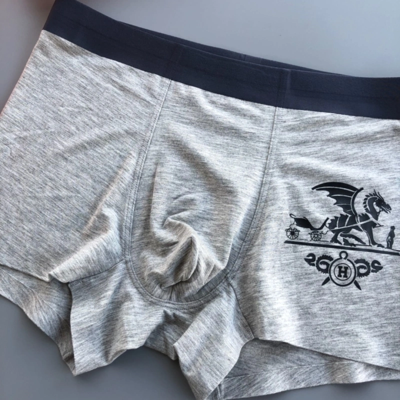 Durable Hermes Underwear 276357