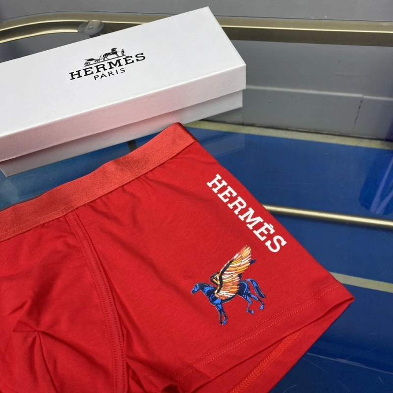Hermes Underwear MultiPurpose 276326