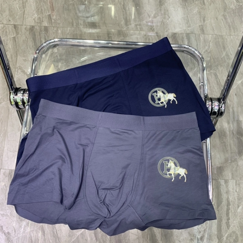 Unique Hermes Underwear 276323