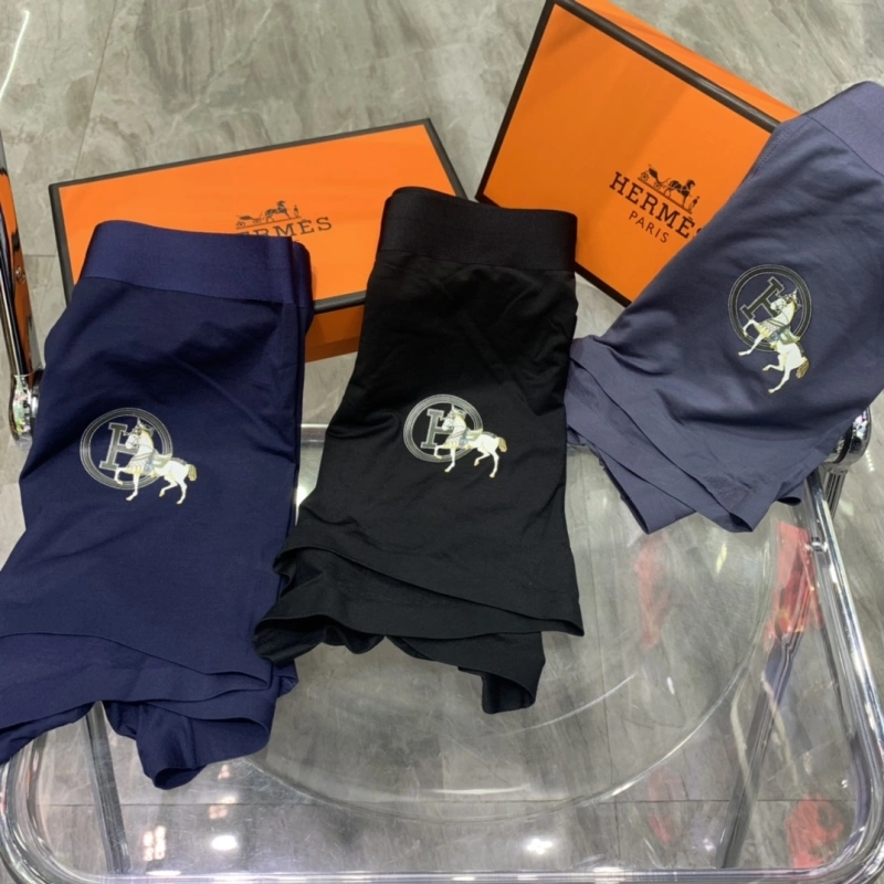 Unique Hermes Underwear 276323