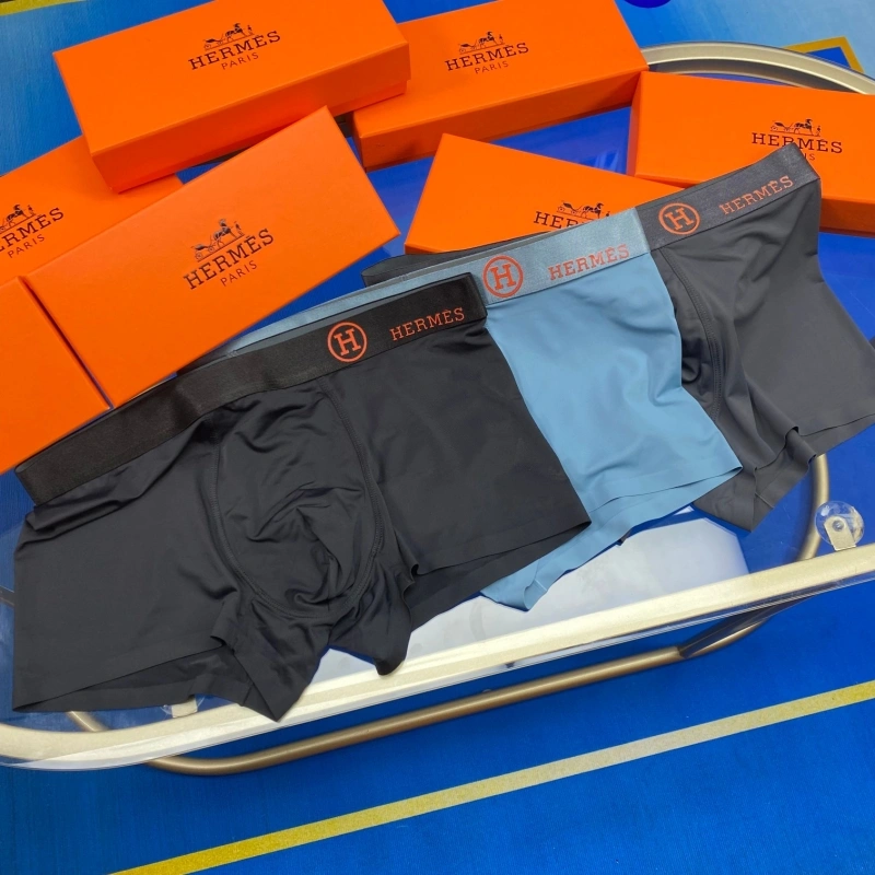 Hermes Underwear WaterResistant 276324