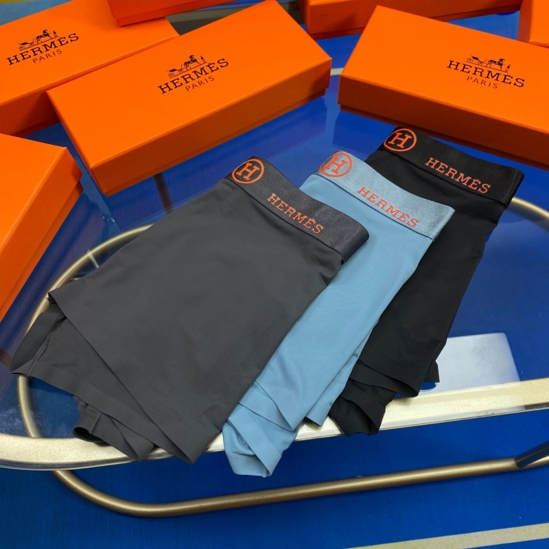 Hermes Underwear WaterResistant 276324