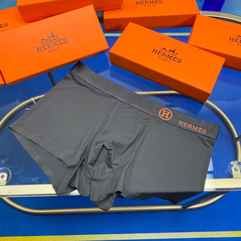 Hermes Underwear WaterResistant 276324