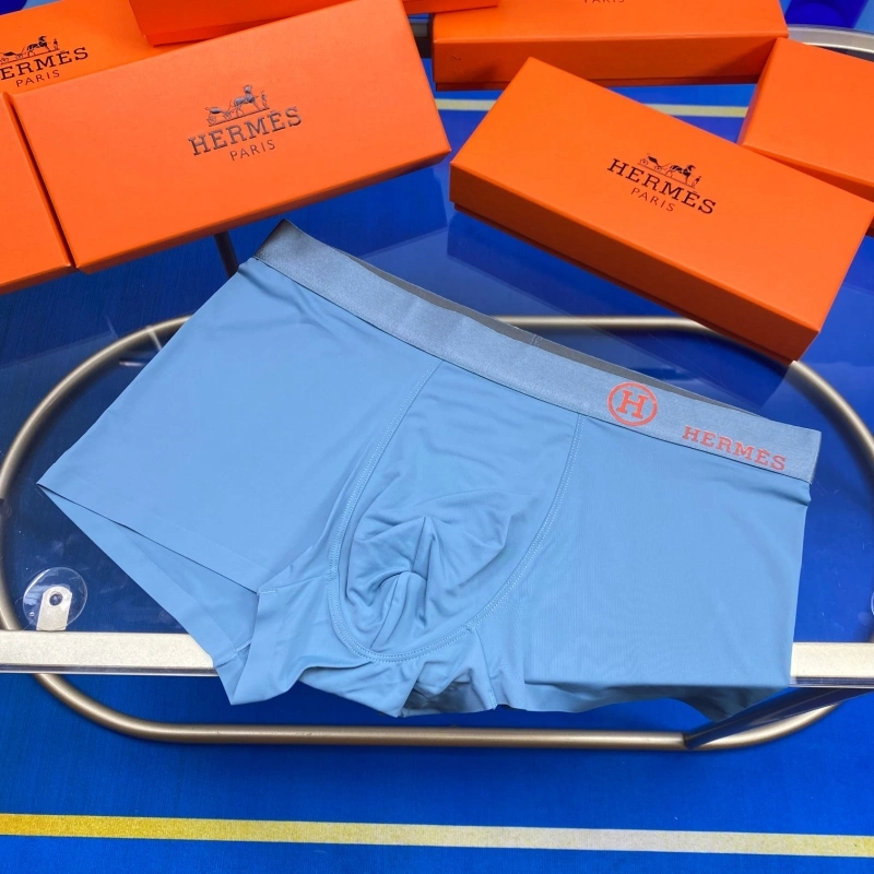 Hermes Underwear WaterResistant 276324