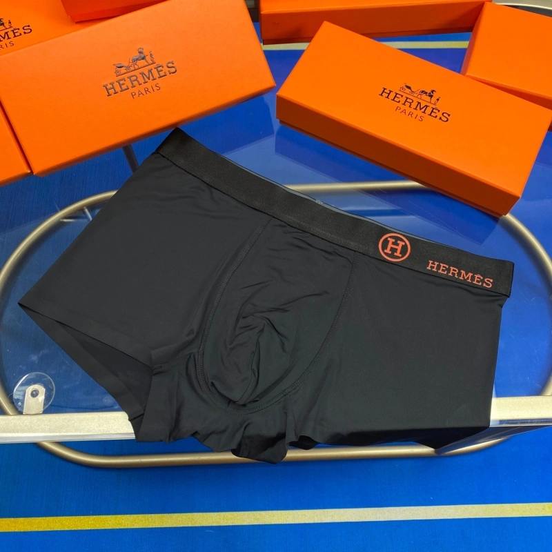 Hermes Underwear WaterResistant 276324