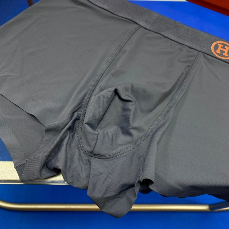 Hermes Underwear WaterResistant 276324
