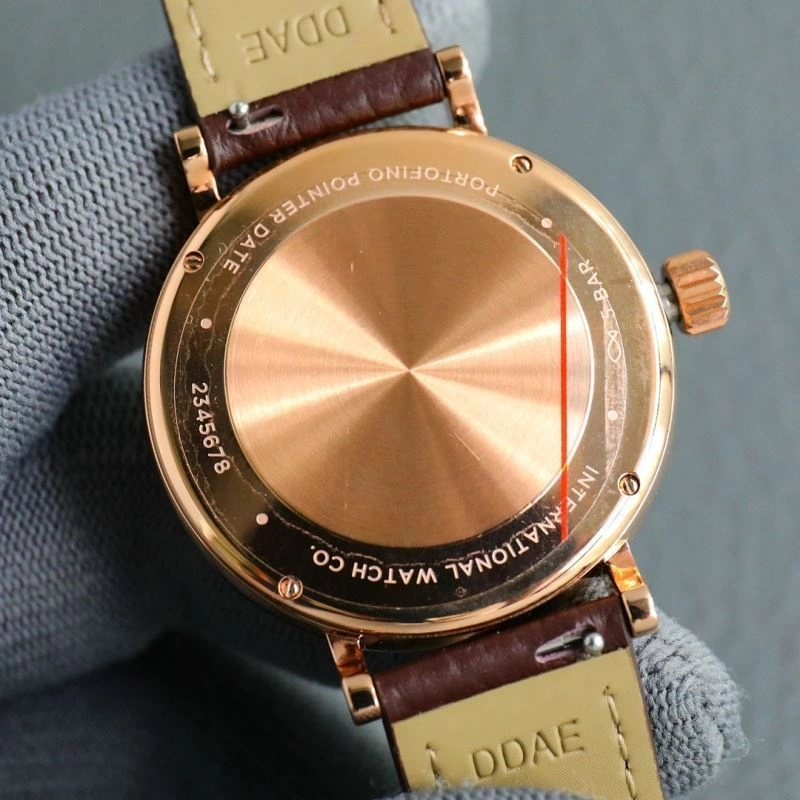 IWC Watches Vibrant 185720