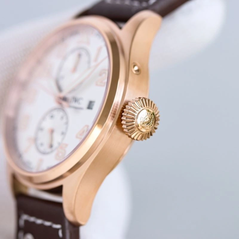 IWC Watches Tailored 185666