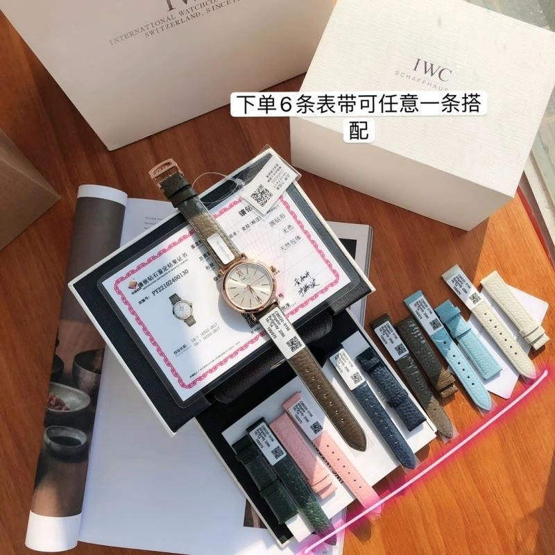 IWC Watches Efficient 185660