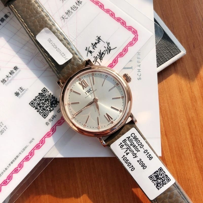 IWC Watches Efficient 185660