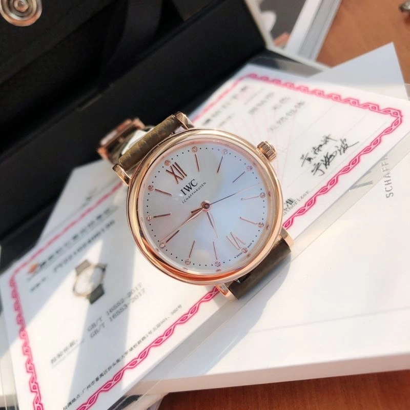 IWC Watches Efficient 185660