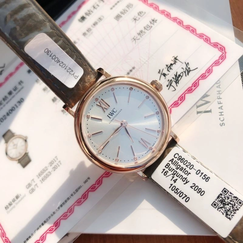 IWC Watches Efficient 185660