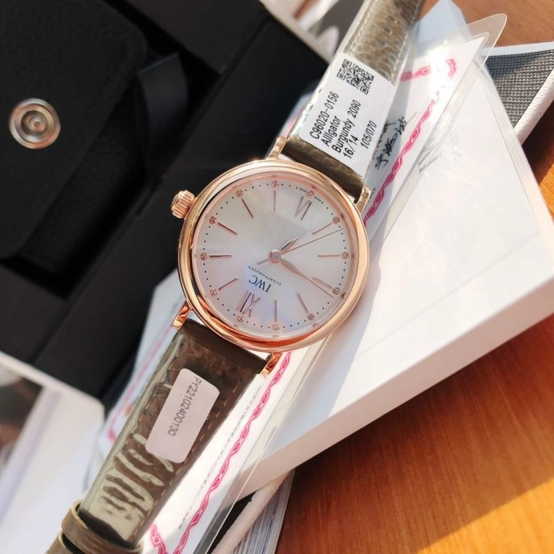 IWC Watches Efficient 185660