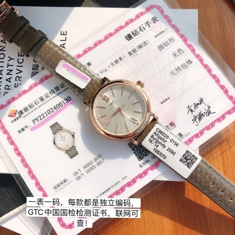 IWC Watches Efficient 185660